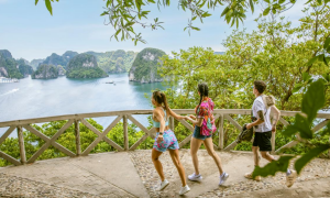 Overnight Cruise on the largest Ambassador Cruise I